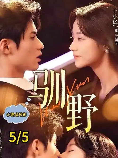 隔壁的阿姨剧集海报